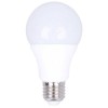 LAMPADINA LED ECOLIGHT 10W E27  6500K LUCE FREDDA (75W)