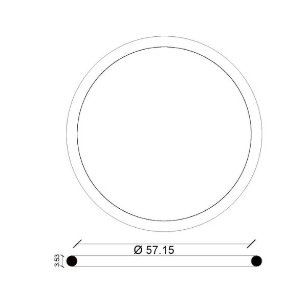 ANELLO ORING OR161 X SEDE ESTRAIBELE X CASS.INC.RAME PUCCI PUCC9096