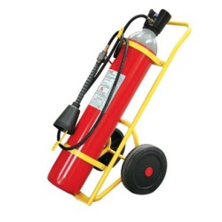 ESTINTORE AD CO2 KG18 B2 C