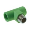 T FIL.M D25X1/2 PP-R