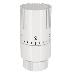 TESTA TERMOSTATICA BIANCA CON SENSORE LIQUIDO POLETTI