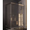 BOX PORTA PARETE ESSENCE  UN LATO FISSO E UNO APRIBILE  117,5 / 120  CRISTALLO TRASPARENTE MM.6  SX BEN12SX