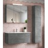 COMPONIBILE DA BAGNO  SERIE PORTLAND DA 60 X 45 CM-SPECCHIO CONTENITORE E LAMPDA  LED  BIANCO